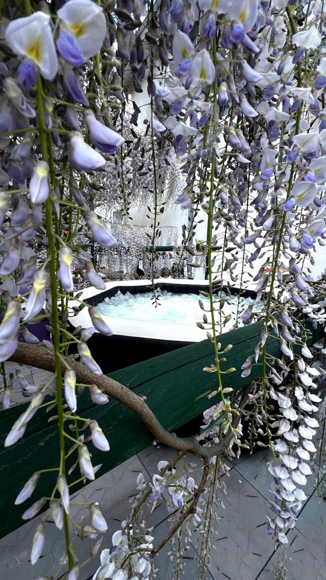 Gan Eden B&B San Benedetto Del Querceto Exteriér fotografie