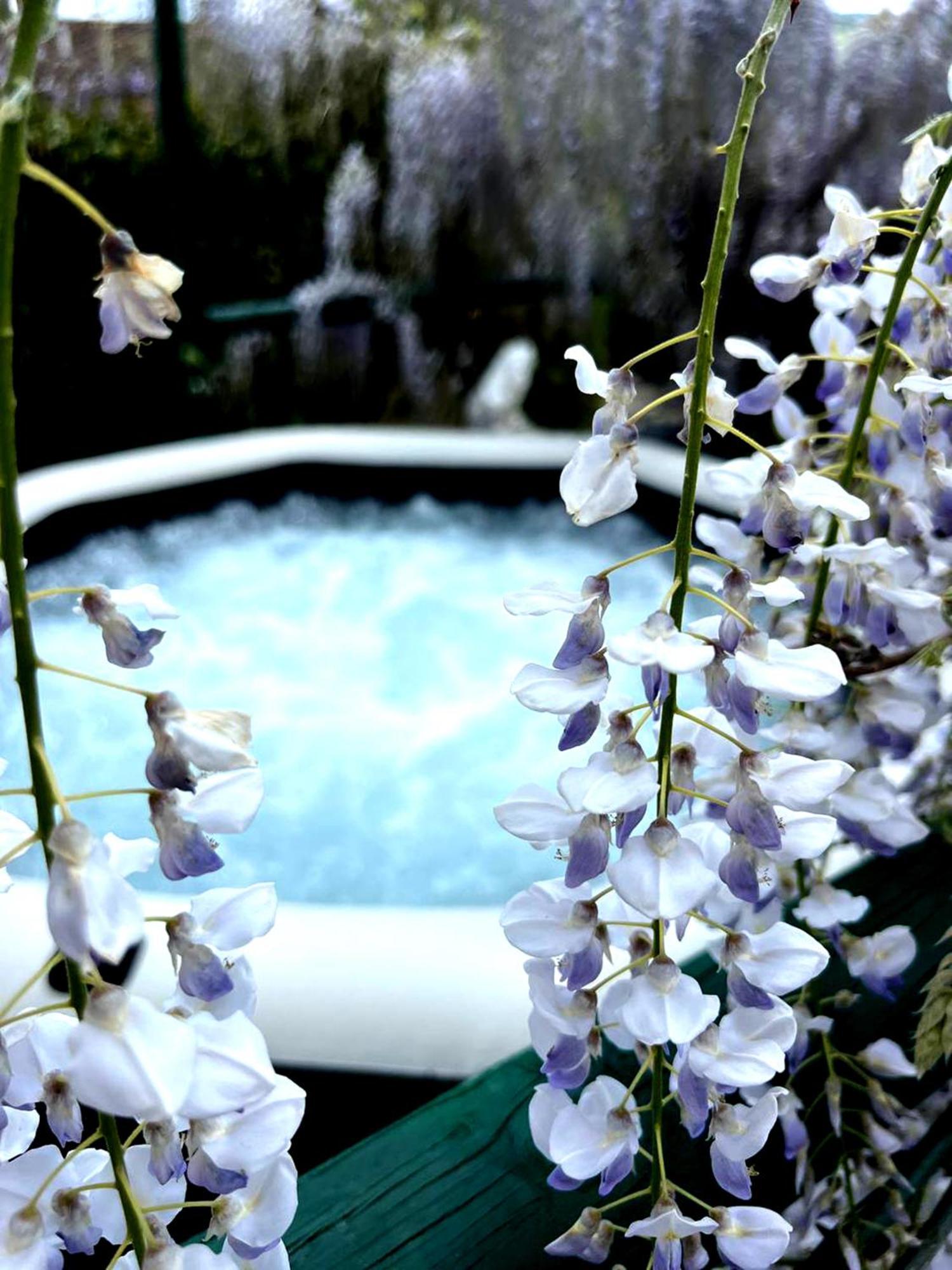 Gan Eden B&B San Benedetto Del Querceto Exteriér fotografie